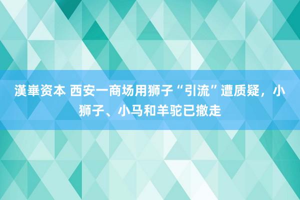 漢崋资本 西安一商场用狮子“引流”遭质疑，小狮子、小马和羊驼已撤走