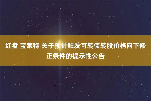 红盘 宝莱特 关于预计触发可转债转股价格向下修正条件的提示性公告
